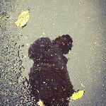 Brian Roche - @brian.roche_ - Instagram