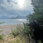 Brian Rohde - @greenneck8 - Instagram