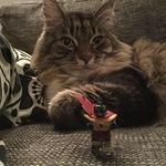 Brian Rohde - @rohderun - Instagram