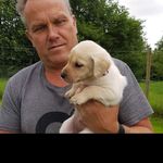 Brian Thomsen - @brian_rohde_thomsen - Instagram