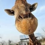 Brian_roll - @brian_roll - Instagram