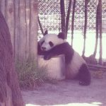 Brian Rollefson - @brollin - Instagram