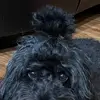 Brian Rollinson - @br0906 - TikTok