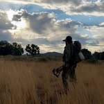 Brian Roman - @brian_roman_ - Instagram
