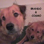 Brian Romanchick - Facebook