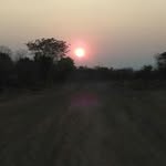 Brian Roodt - @roodtbrian - Instagram