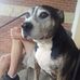 Brian Rooker - Facebook