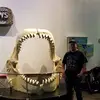 Bryan Rooker - @bryanrooker8896 - TikTok