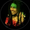 Brian Roots 🇯🇲 - @bryan.torres5359 - TikTok