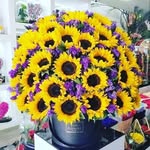 Brian Rosales - @brian.rs9 - Instagram