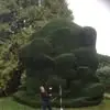 Brian Roscoe - @brian.roscoe1 - TikTok