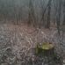 Brian Roten - Facebook