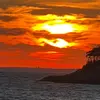 Brian Rothe - @rothebythesea - TikTok