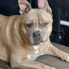 Brian Rothel - @brian.rothel - TikTok