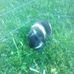 Brianna Rouleau - Facebook