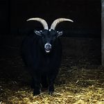 Bryan Roundy - @wizard_of_righteousness - Instagram