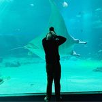 Brian Roussel - @brian_rsl - Instagram
