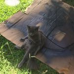 Brian Roussel - @brian.roussel.73 - Instagram
