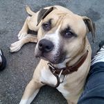 bryan roussel - @roussel_bryan - Instagram