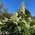 BRIAN ROWLES - @brianrowles1 - Instagram