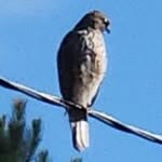 Brian Ruck - @ruck4664 - Instagram