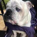 Brian Ruck - @brian.ruck.3 - Instagram