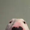 Brian Sachs - @briansachs0 - TikTok