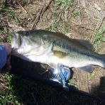 Brian Saddler - Facebook