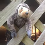 Brian Sadler - @brian_thesloth - Instagram