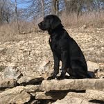 Brian Sadler - @bsadler3006 - Instagram