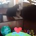 Brian Sadler - Facebook