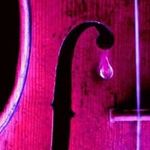 Brian Sailer - @brian.sailer - Instagram
