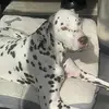 briansalters675 - @briansalters675 - TikTok