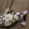 Brian Salyer765 - @briansalyer2 - TikTok