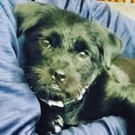 Brian Salyer - @bsalyer315 - Instagram