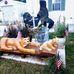 Brian Sammons - Facebook