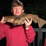 Brian Samples - @brian.samples - Instagram