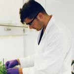 Brian Samuelson - @brainiacbri - Instagram