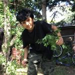 Brian Sandhu 2 - @briansandhu2 - Instagram