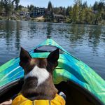Brian Sandler - @bcsandler - Instagram