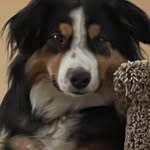 Davebripete Sandler - @briansandler22 - Instagram