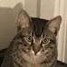 Brian Sandlin - Facebook