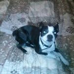 Brian Sandlin - @brian.sandlin.758 - Instagram