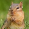 outdoor nature show - @briansandy2 - TikTok