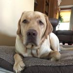 Brian Sankey - @sankey.brian - Instagram