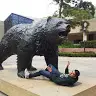 Brian Sapien - @briansapien - TikTok