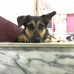 Bryan Sanford - Facebook