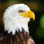 Brian Schell - @brian.schell.509 - Instagram