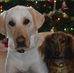 Brian Scheuermann - Facebook