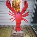 Brian - @brianschneck78 - Instagram
